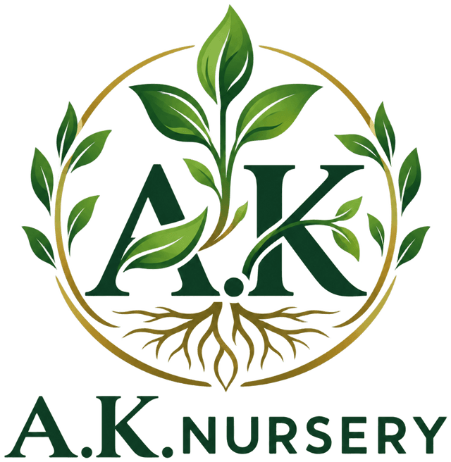 A.K. Nursery