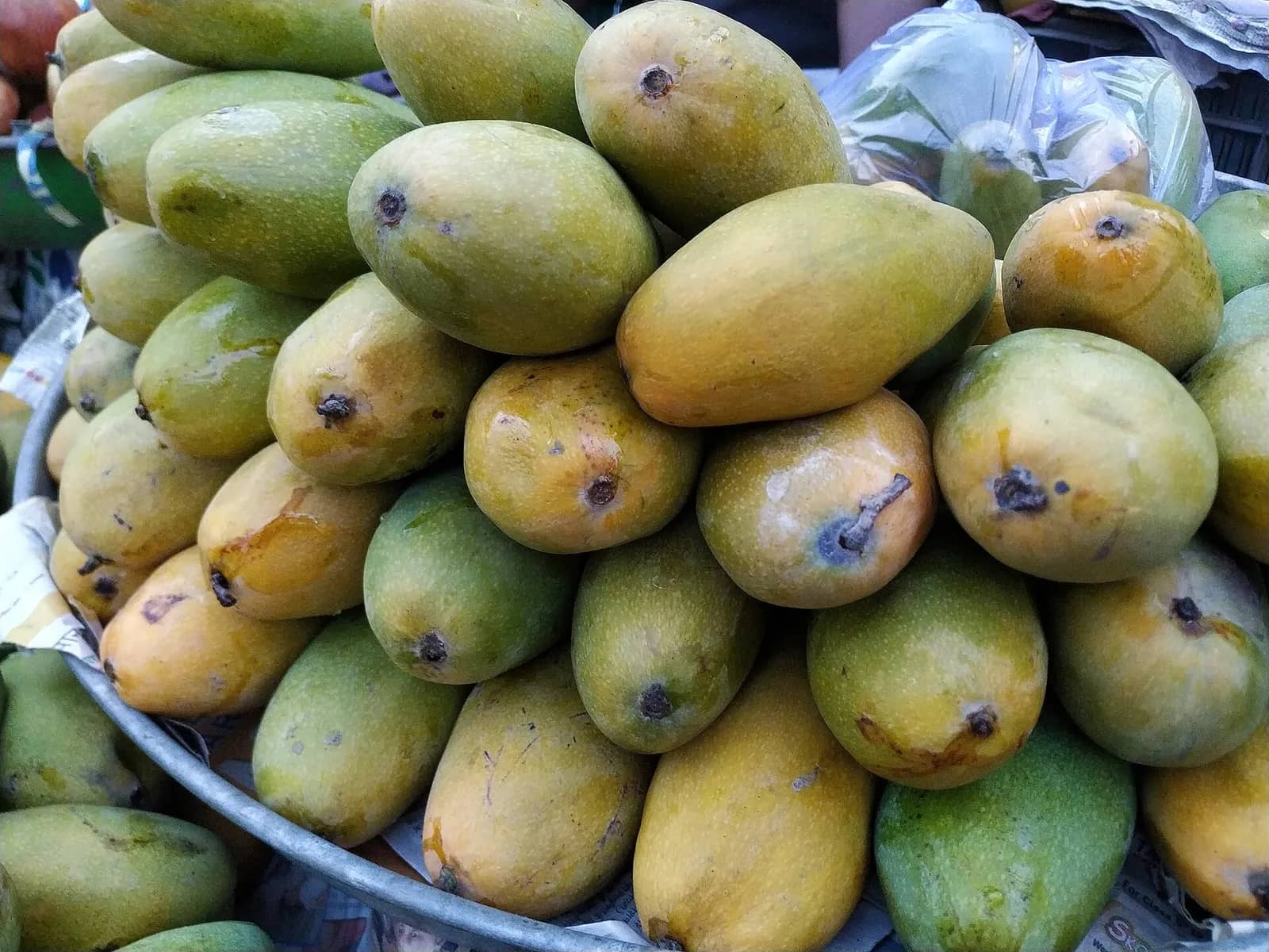 Dashehari mango fruit