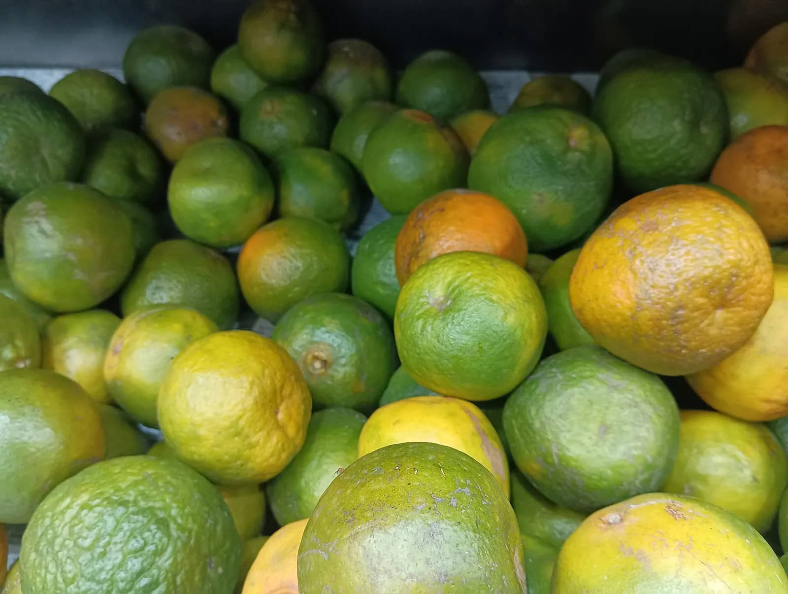 Nagpur Orange orange fruit
