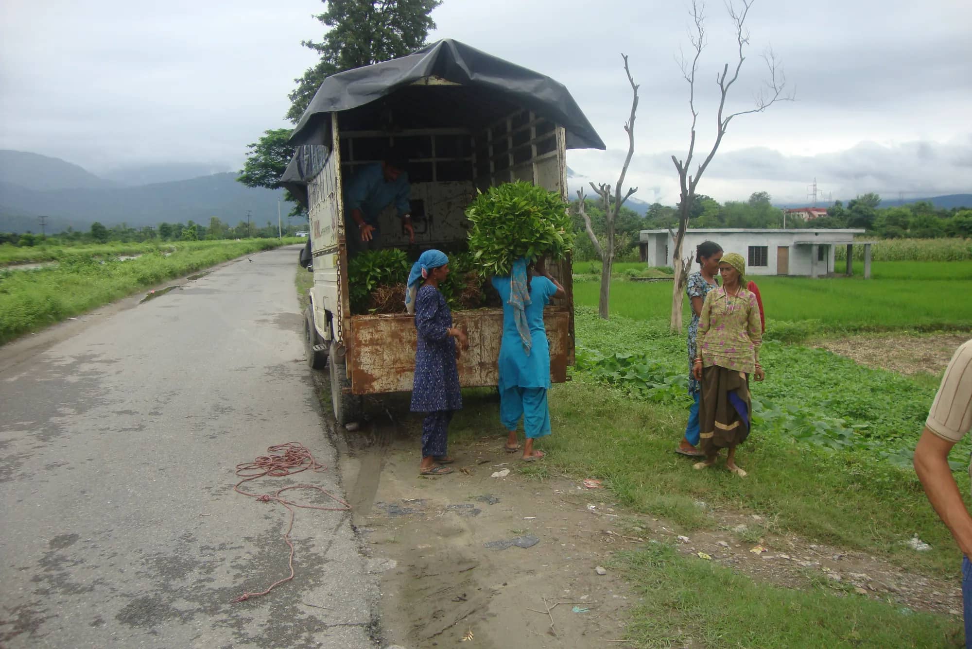 A loaded truck on the road beside the nursery, hills in the background
