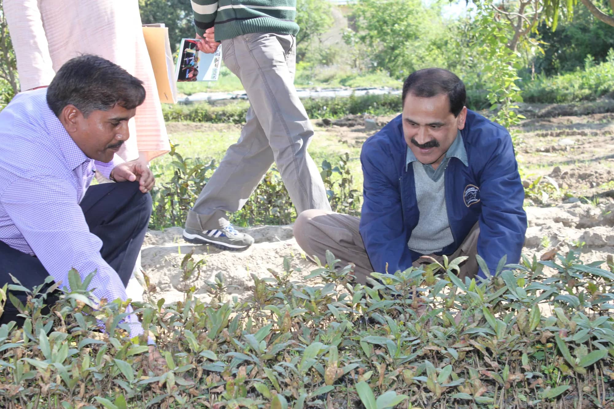 Two men crouching beside young saplings, smiling as they inspect them