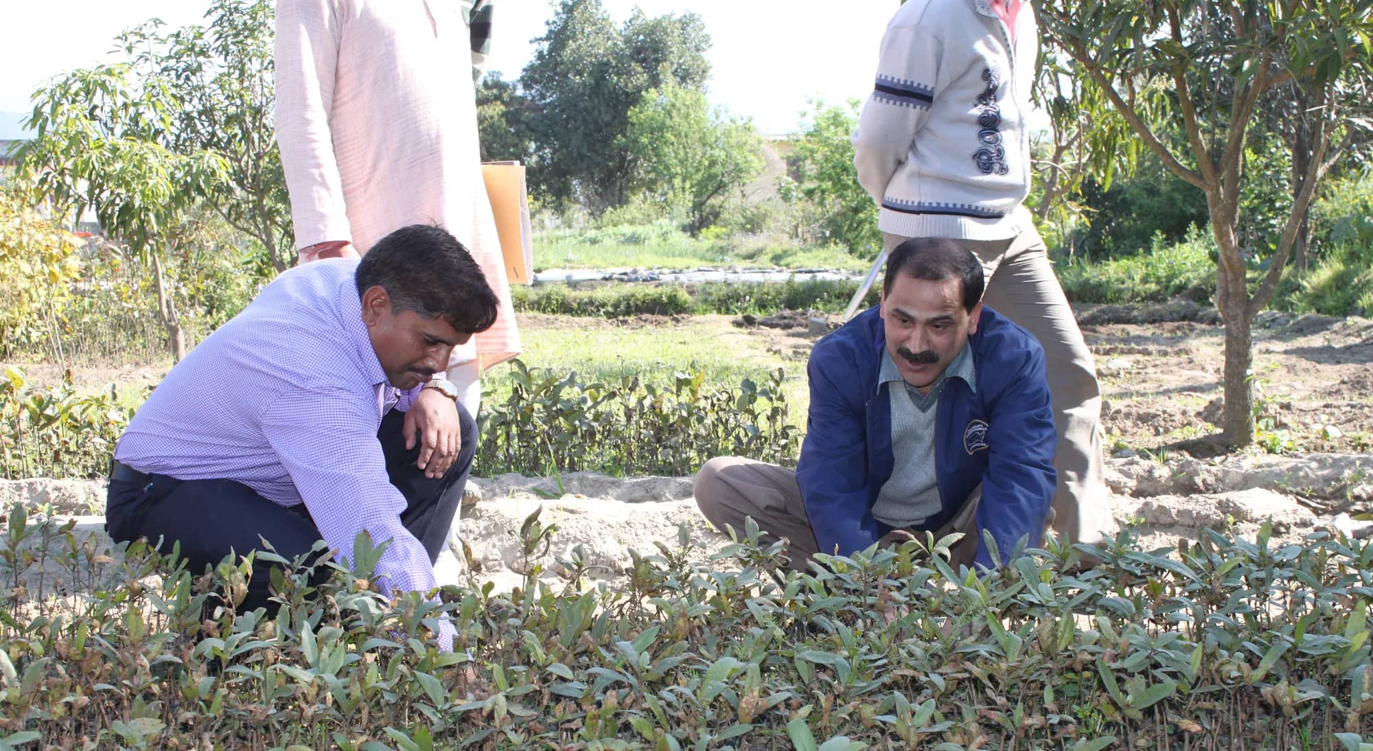 Shri Ajay Kumar Badoni and a visitor crouching to inspect rows of young saplings