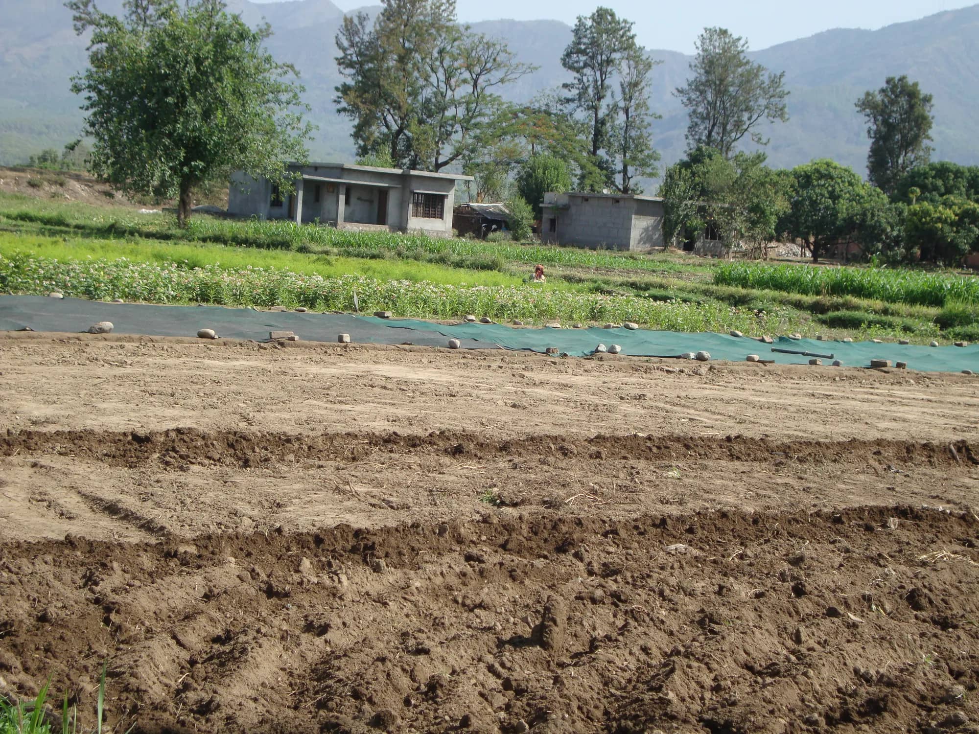 Freshly ploughed nursery land with the hills beyond